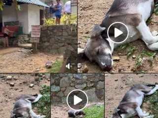 Photos by  Jea Tejano